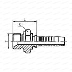 BSP Фитинг BSP резьба G3/4