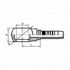 BSP Фитинг BSP внутренний G5/8